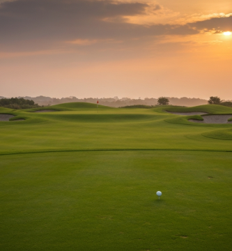 Ping S259 Wedge: Análisis y Prueba a Fondo
